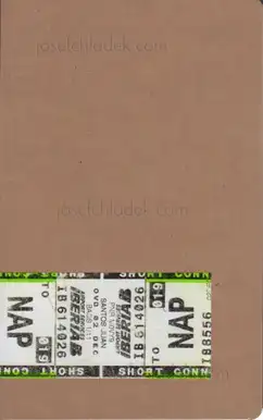 Cover of Juan Santos - Napolae