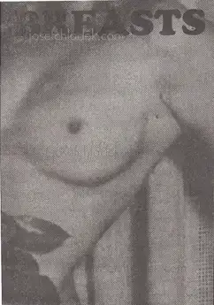 Cover of Jurgen Maelfeyt - Breasts