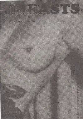 Cover of Jurgen Maelfeyt - Breasts