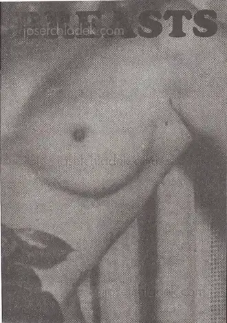 Cover of Jurgen Maelfeyt - Breasts