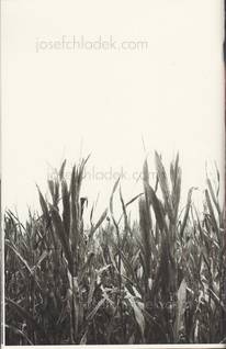  Nathan Pearce - Midwest Dirt (Bootleg Edition) (Back)