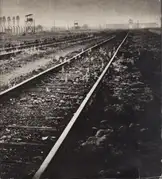 Adam Kaczkowski - Auschwitz - Birkenau