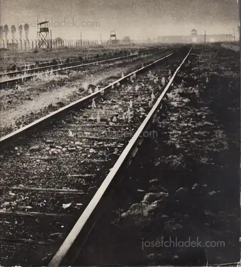 Cover of Adam Kaczkowski - Auschwitz - Birkenau