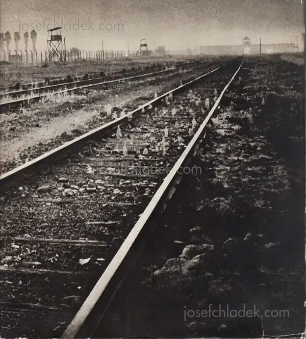 Cover of Adam Kaczkowski - Auschwitz - Birkenau