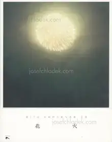 Rinko Kawauchi - Hanabi (川内倫子 花火)