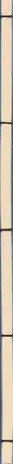 Book spine: Timothy Briner & Thomas Hauser - BRINER HAUSER
