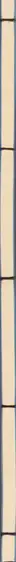 Book spine: Timothy Briner & Thomas Hauser - BRINER HAUSER
