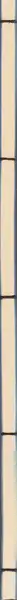 Book spine: Timothy Briner & Thomas Hauser - BRINER HAUSER