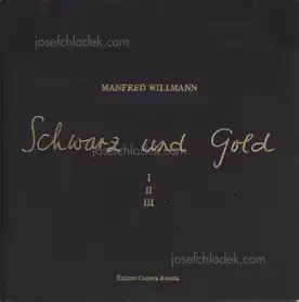 Manfred Willmann - Schwarz und Gold