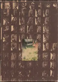 Daido Moriyama - Kagero (Dayfly, 森山大道 蜉蝣 かげろう) 