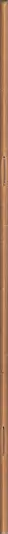 Book spine: Koen Wessing - Chili September 1973