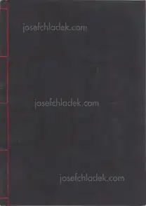 Cover of Nobuyoshi Araki - Xerox Photobook #15 (荒木経惟 ゼロックス写真帳 #15)