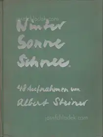 Albert Steiner - Schnee - Winter - Sonne