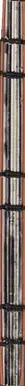 Book spine: Ilkin Huseynov - Mühit (Second Edition)