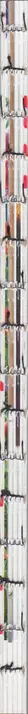 Book spine: Dries Segers - Seeing a rainbow