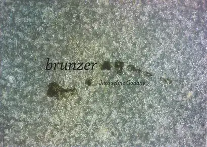 Cover of Jaqueline Godany - brunzer