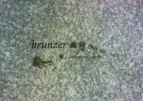 Cover of Jaqueline Godany - brunzer