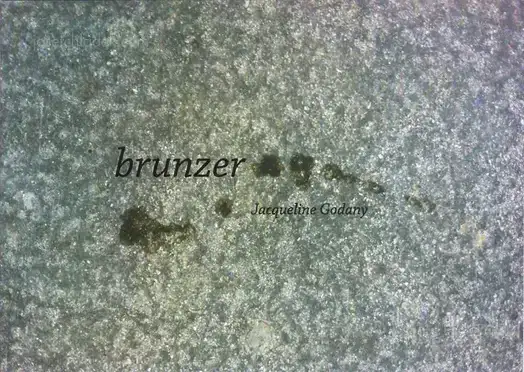 Cover of Jaqueline Godany - brunzer
