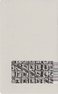  Juan Santos - BCN Photem. After Rauschenberg (Back)