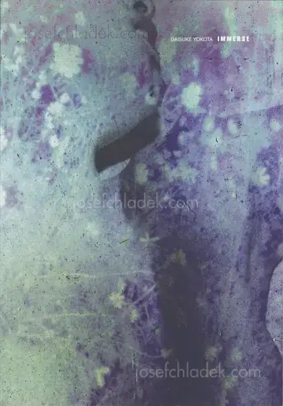 Cover of Daisuke Yokota - Immerse