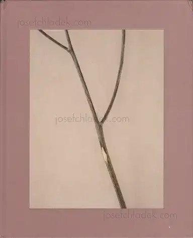 Casper Sejersen - Belongs to Joe Casper Sejersen - Belongs to Joe