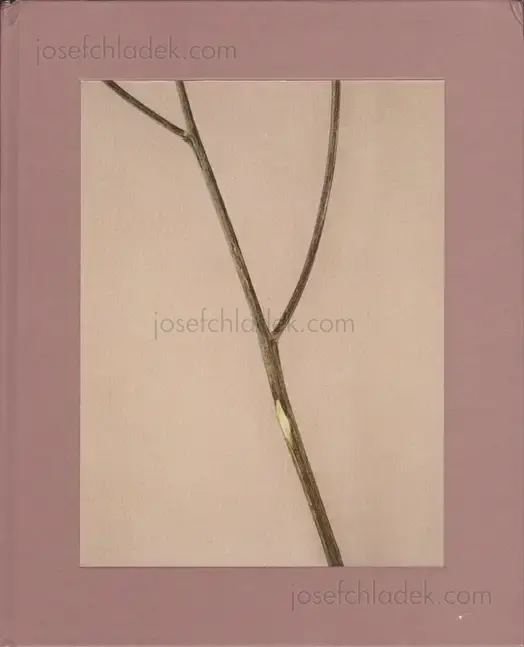 Cover of Casper Sejersen - Belongs to Joe