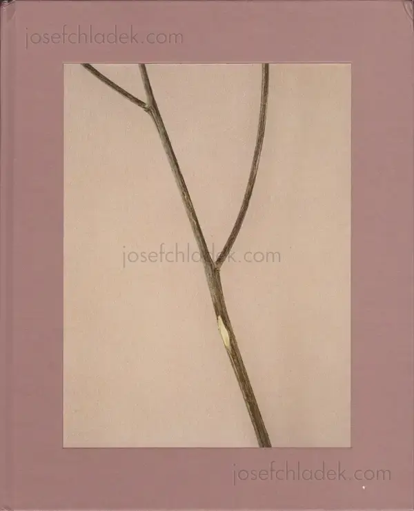 Cover of Casper Sejersen - Belongs to Joe