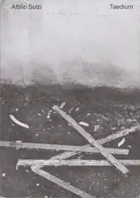 Attilio Solzi - Taedium
