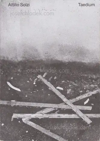Cover of Attilio Solzi - Taedium