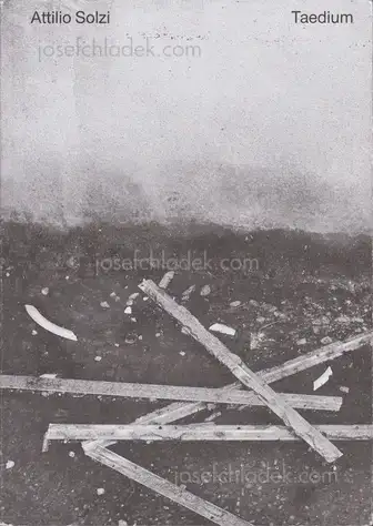 Cover of Attilio Solzi - Taedium