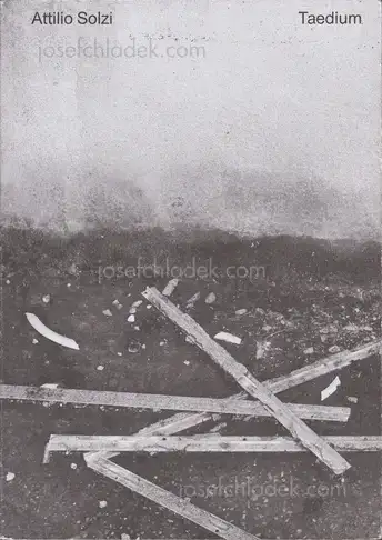 Cover of Attilio Solzi - Taedium