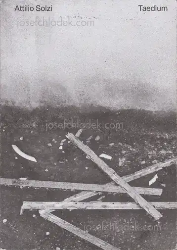 Cover of Attilio Solzi - Taedium