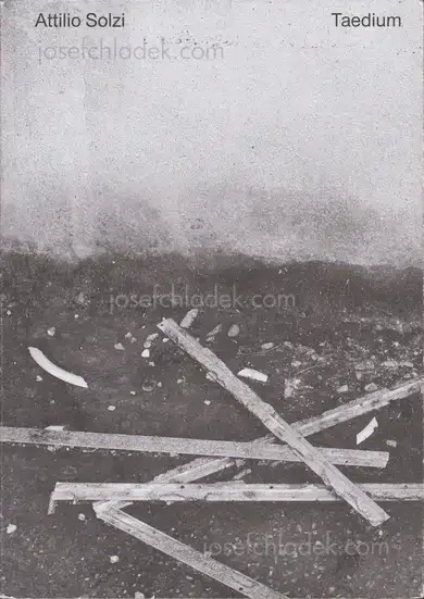 Cover of Attilio Solzi - Taedium