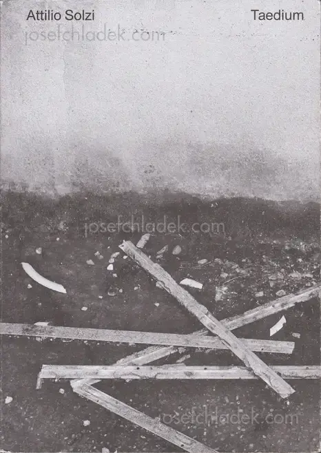 Cover of Attilio Solzi - Taedium