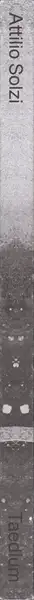 Book spine: Attilio Solzi - Taedium