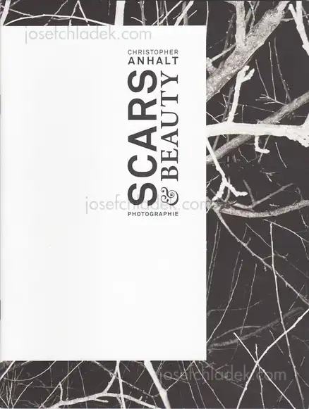 Cover of Christopher Anhalt - Scars & Beauty