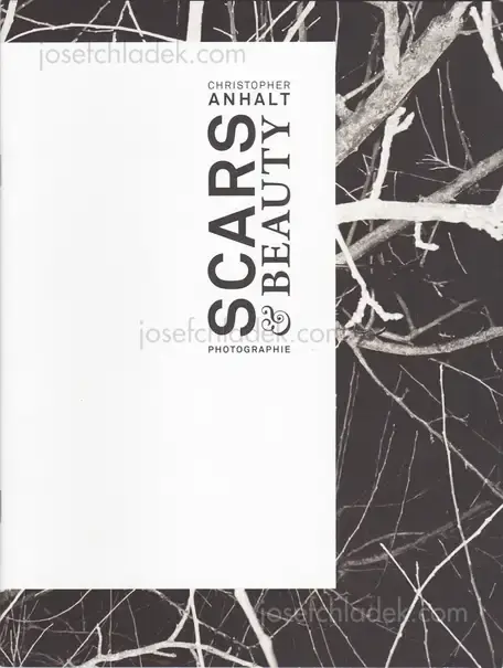 Cover of Christopher Anhalt - Scars & Beauty