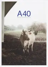 Sebastian Mölleken - A40