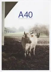 Sebastian Mölleken - A40