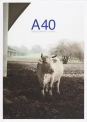 Sebastian Mölleken - A40