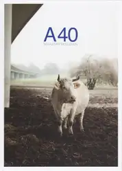 Cover of Sebastian Mölleken - A40