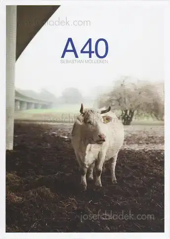 Cover of Sebastian Mölleken - A40
