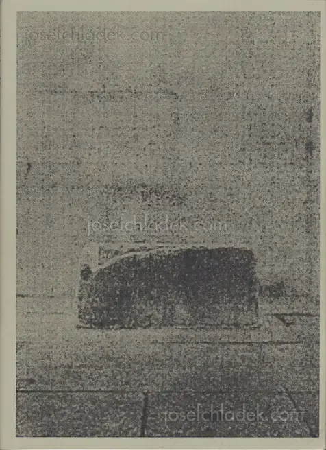 Cover of Thomas Hauser - The Wake of Dust