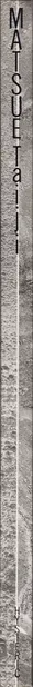 Book spine: Taiji Matsue - 松江 泰治 Hysteric