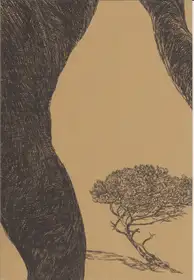 Stefano Vigni - All'ombra di un pino 