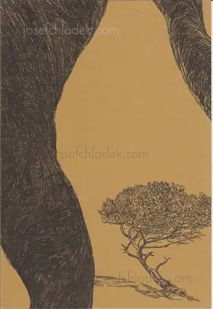 Cover of Stefano Vigni - All'ombra di un pino 