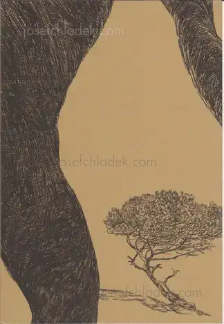 Cover of Stefano Vigni - All'ombra di un pino 