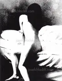 Daisuke Yokota - Taratine (横田大輔 - 垂乳根）