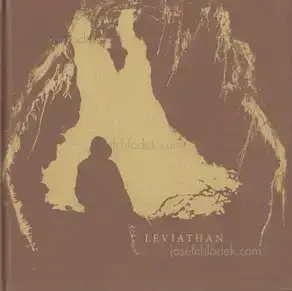 Cover of Morgan Ashcom - Leviathan