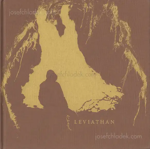 Cover of Morgan Ashcom - Leviathan